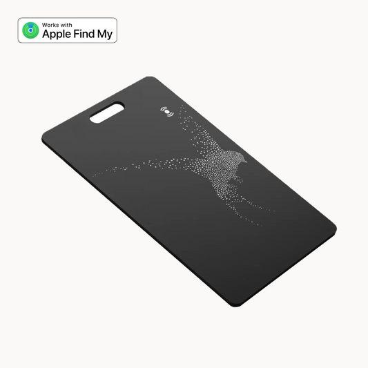 Carta GPS Apple
